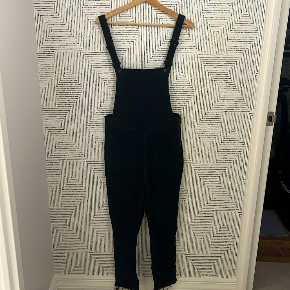 Madewell Skinny overalls - Luna Wash